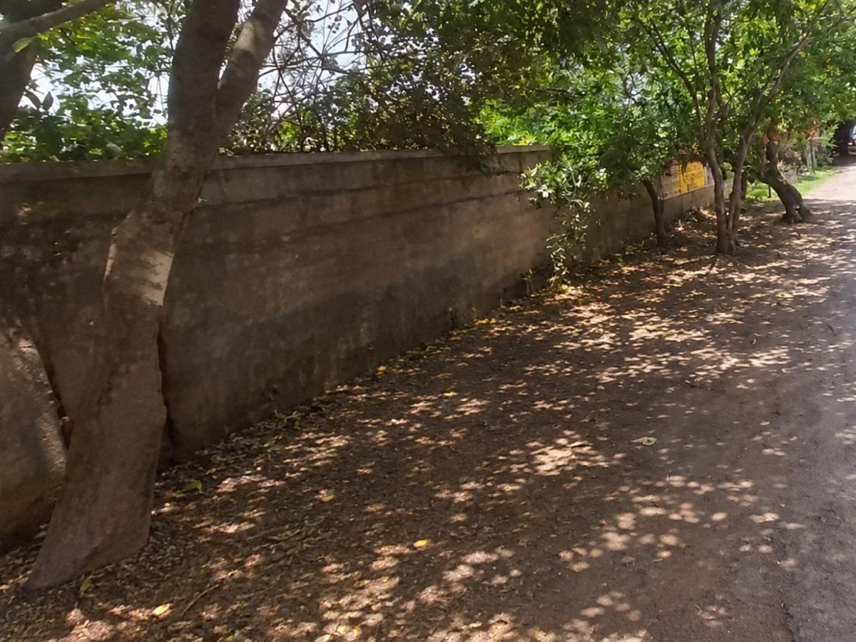 The same stretch of wall and roadside, now cleared of garbage